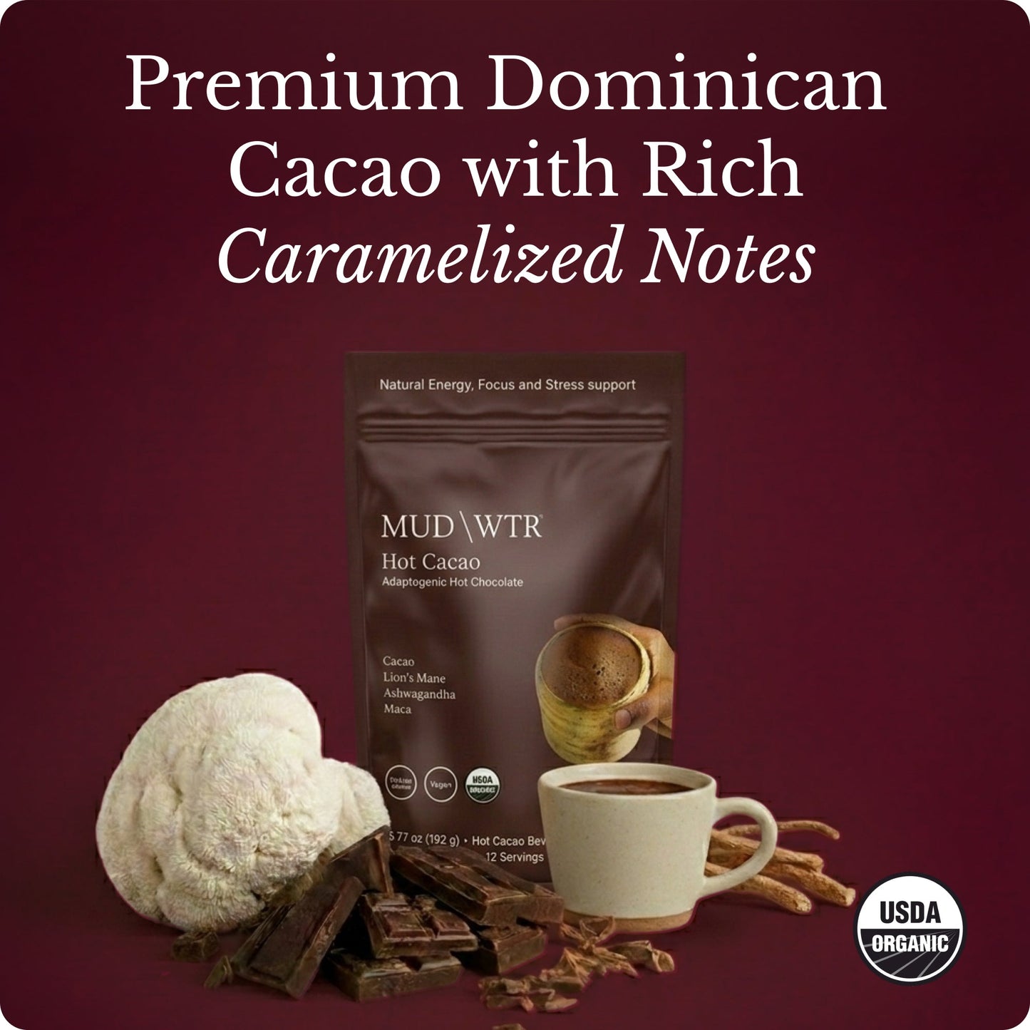 hot-chocolate-r1 Hot_Chocolate_Image_01.jpg