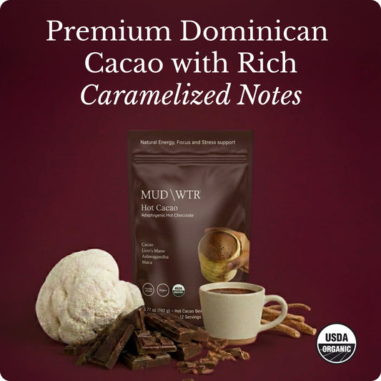 hot-chocolate-r1 Hot_Chocolate_Image_01.jpg