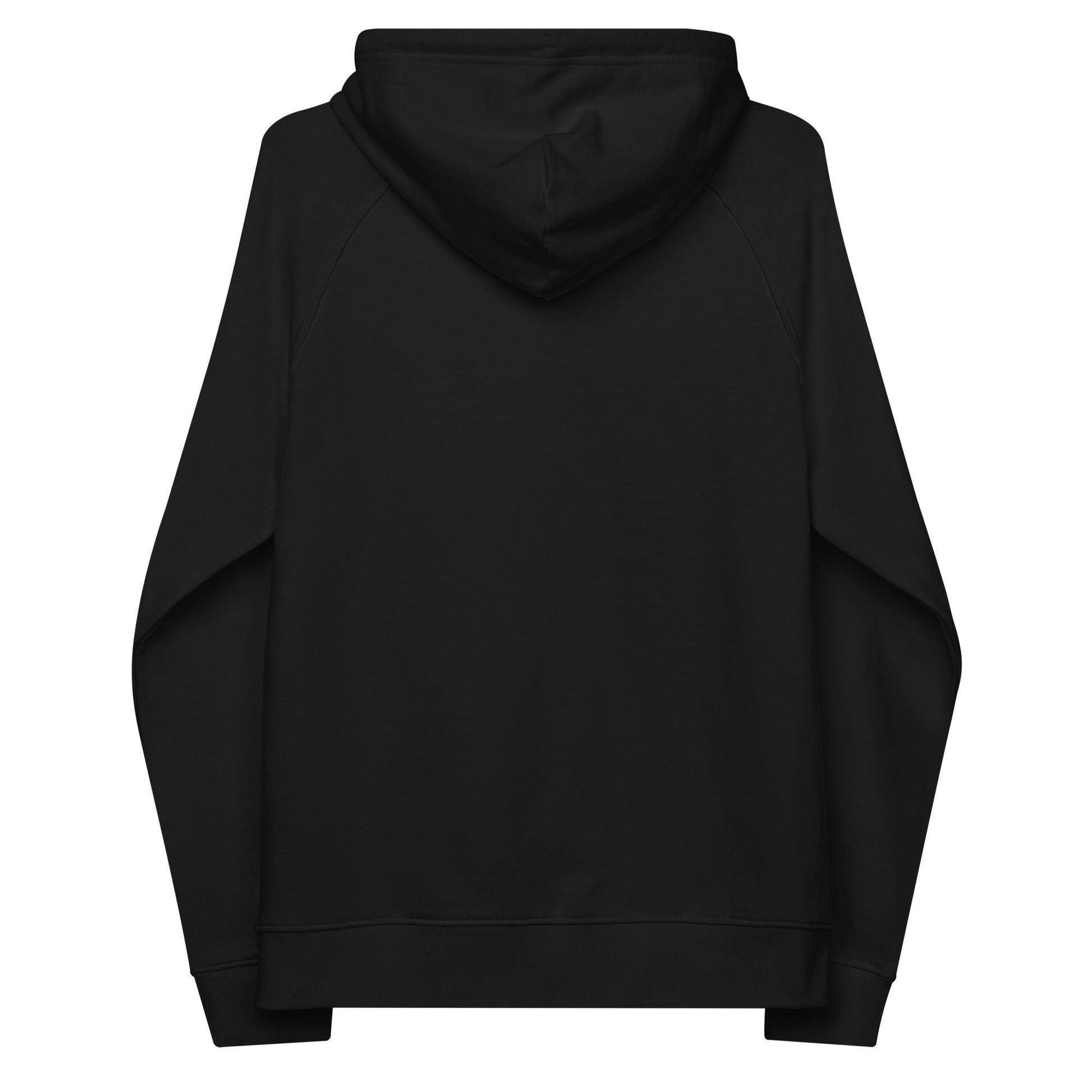 unlearn-relearn-hoodie-p7 unisex-eco-raglan-hoodie-black-back-647547b169f25.jpg