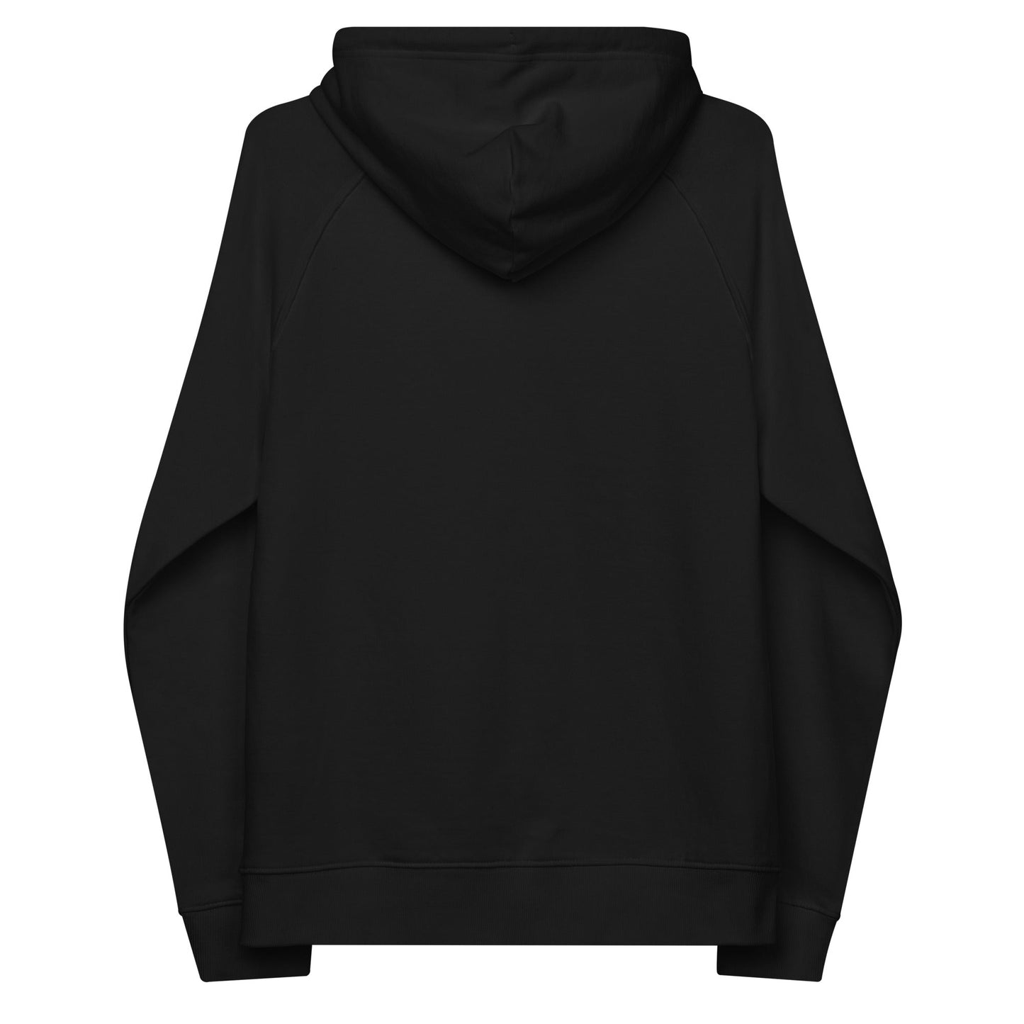 unlearn-relearn-hoodie-z8 unisex-eco-raglan-hoodie-black-back-647547b169f25.jpg